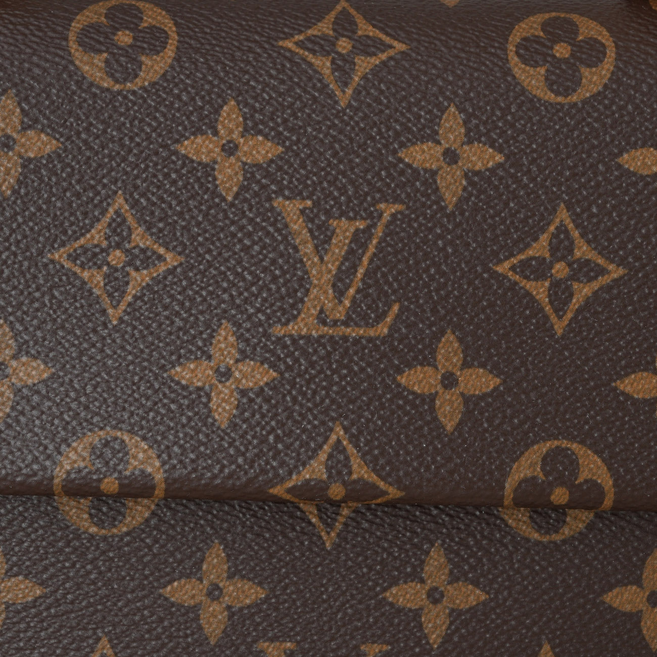 LOUIS VUITTON(USED)루이비통 M42738 클루니 BB